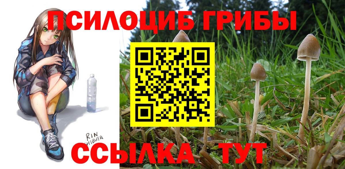 Галлюциногенные грибы GOLDEN TEACHER Мариинск
