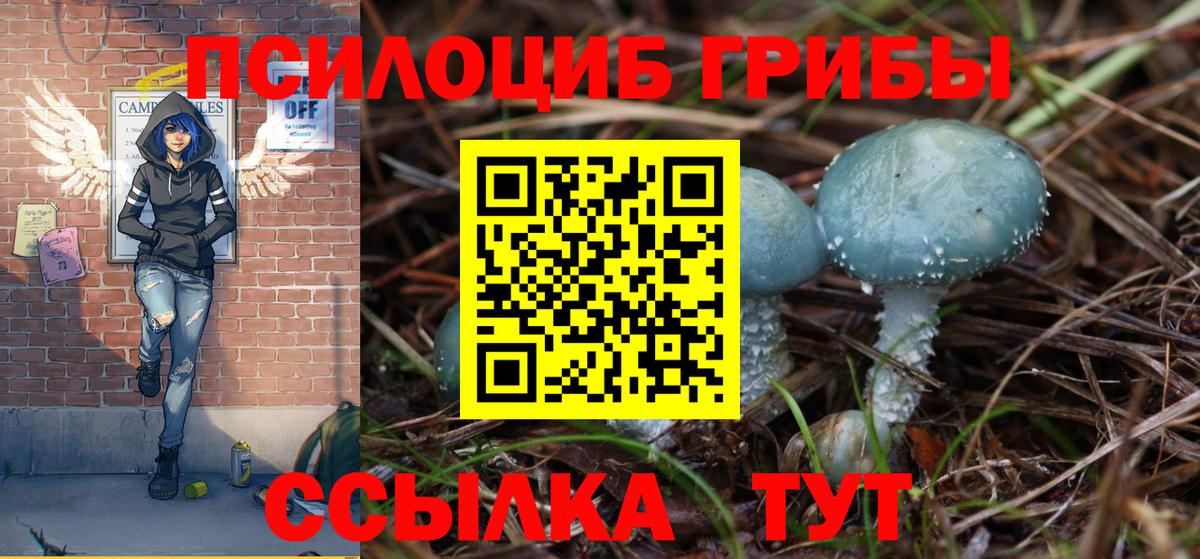 Галлюциногенные грибы Cubensis  сколько стоит  Вход с VPN  Мариинск  Галлюциногенные грибы Cubensis 